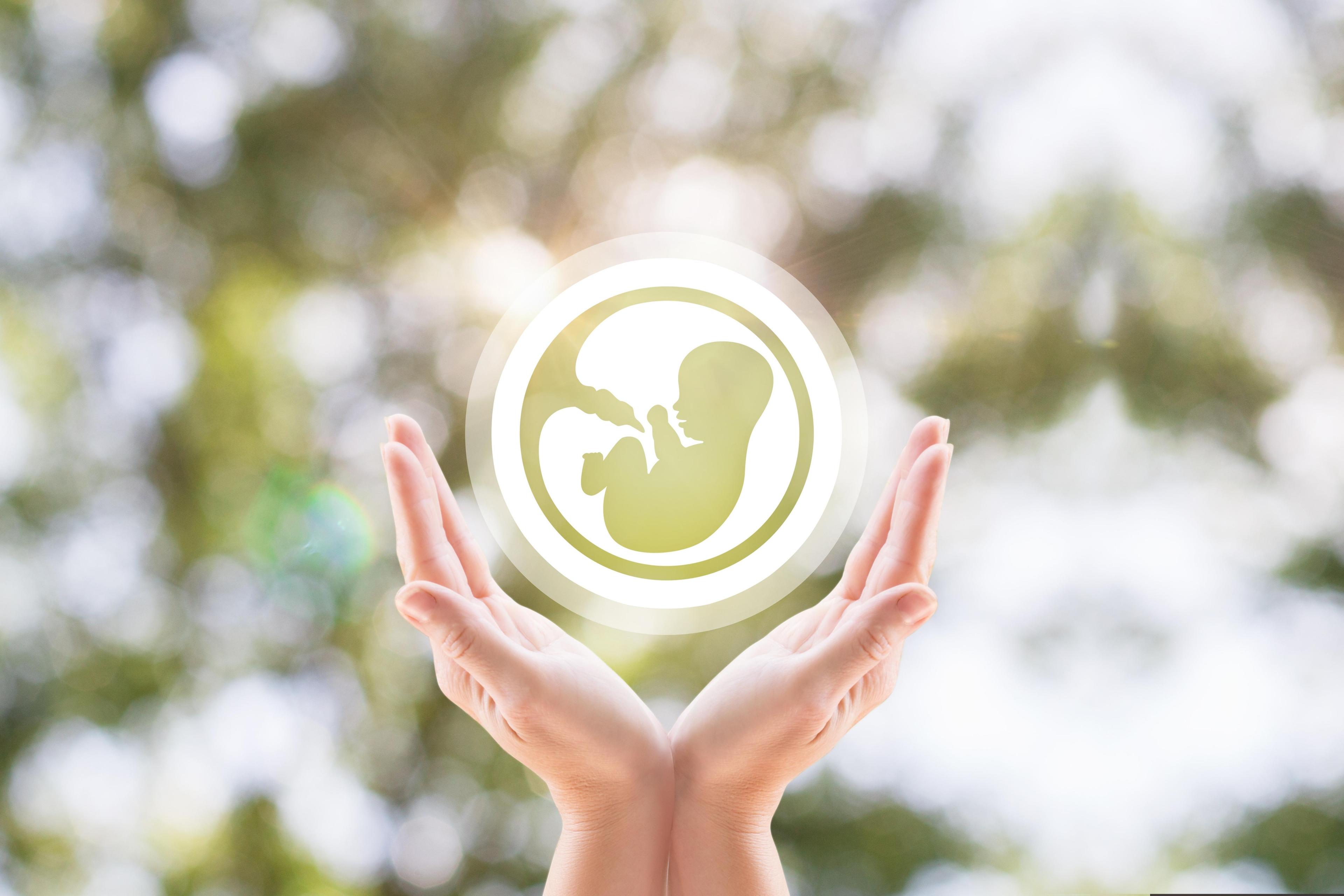 Fertility Preservation: Nurturing Your Future, Supporting Your Now