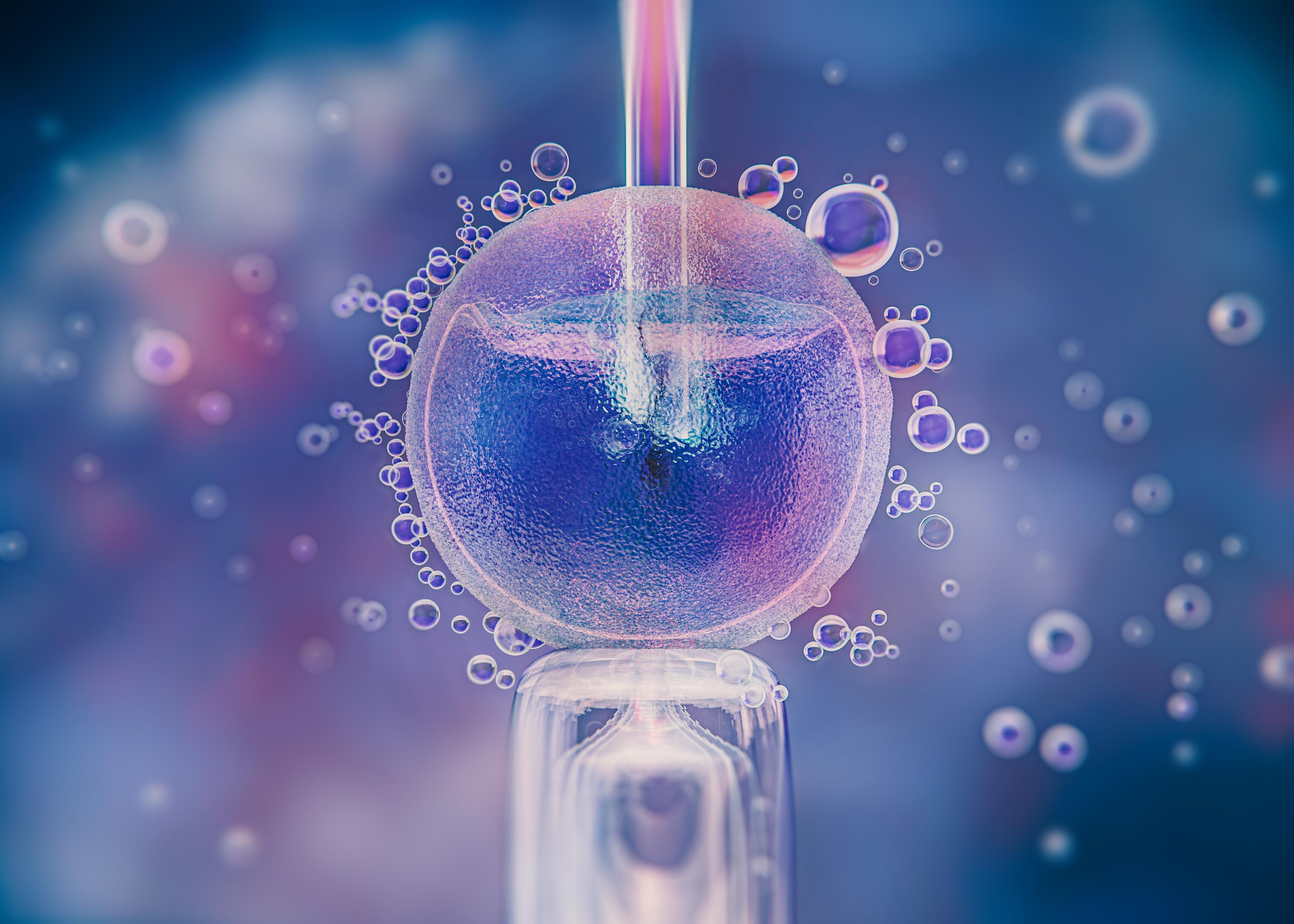 The Future of IVF: AI and Robotics in Reproductive Medicine