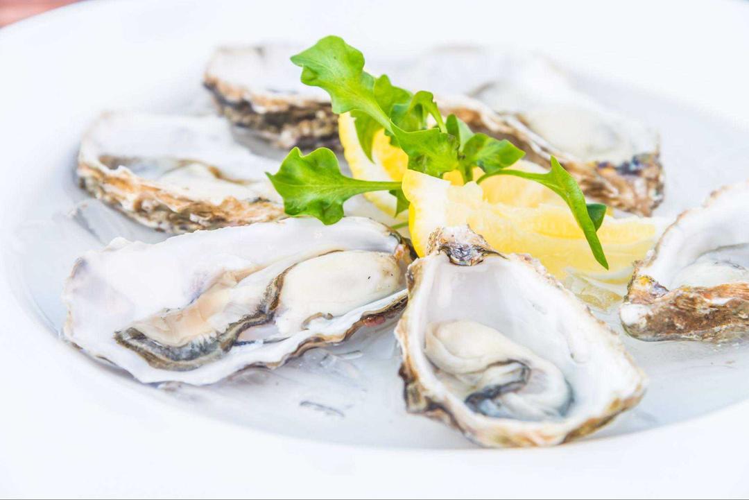 Oysters