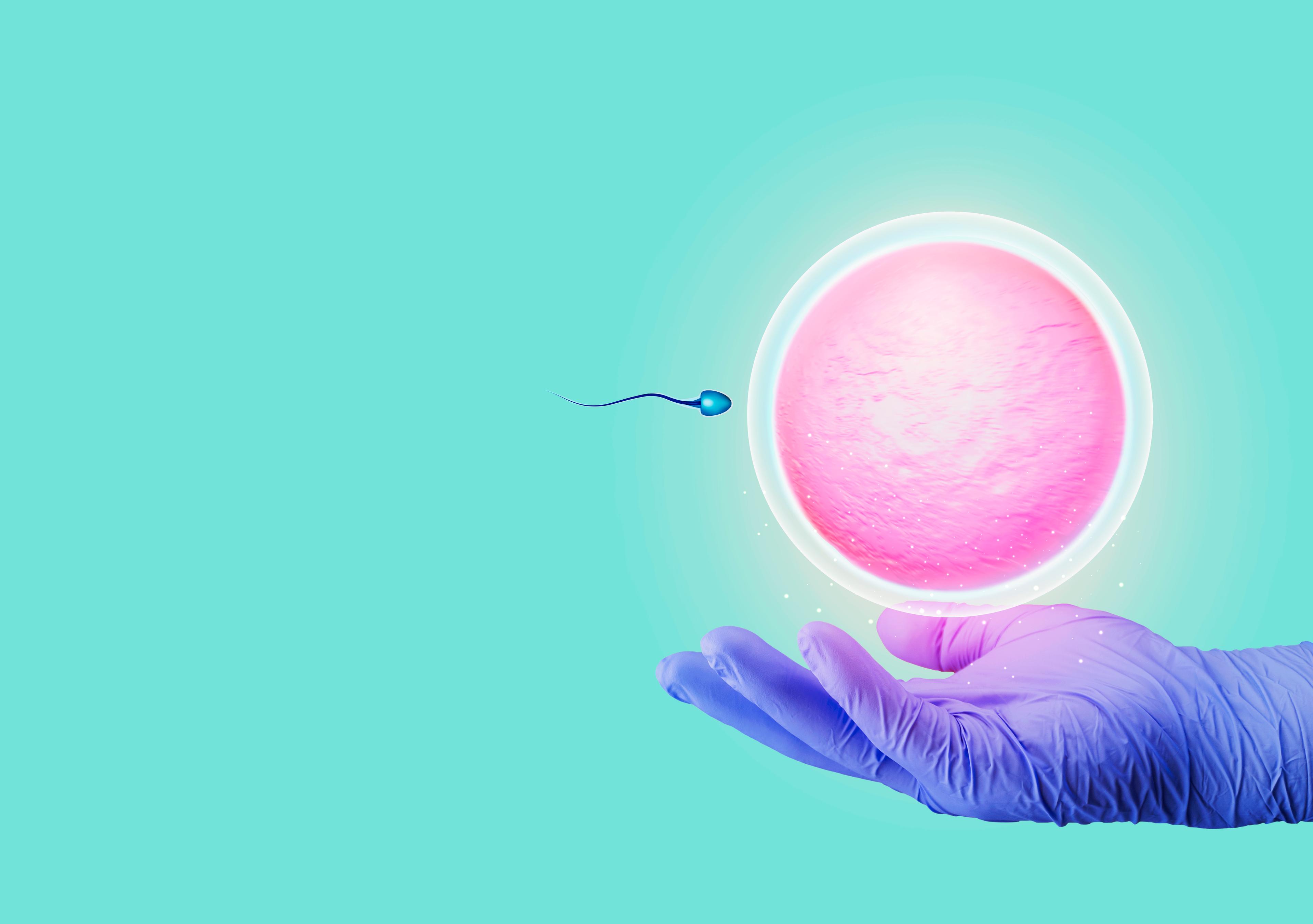 IUI Success: How to Improve Follicular Phase