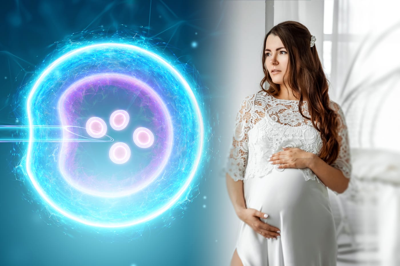 Fetility Images Balancing Ambition and Motherhood: A Guide to Fertility Preservation ...